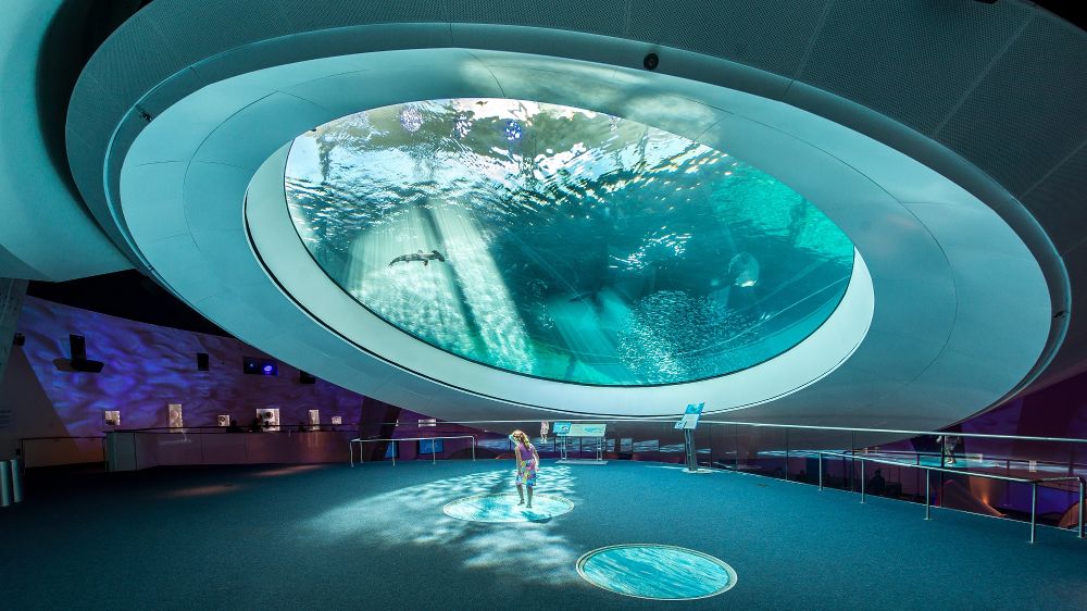 gulf stream aquarium oculus